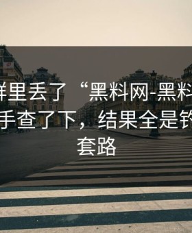 有人在群里丢了“黑料网-黑料大事记”，我顺手查了下，结果全是钓鱼诈骗套路
