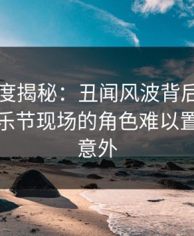 电鸽深度揭秘：丑闻风波背后，当事人在音乐节现场的角色难以置信令人意外
