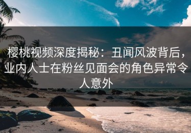 樱桃视频深度揭秘：丑闻风波背后，业内人士在粉丝见面会的角色异常令人意外