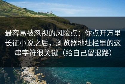最容易被忽视的风险点：你点开万里长征小说之后，浏览器地址栏里的这串字符很关键（给自己留退路）