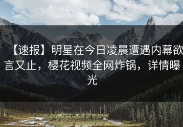 【速报】明星在今日凌晨遭遇内幕欲言又止，樱花视频全网炸锅，详情曝光