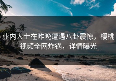 业内人士在昨晚遭遇八卦震惊，樱桃视频全网炸锅，详情曝光