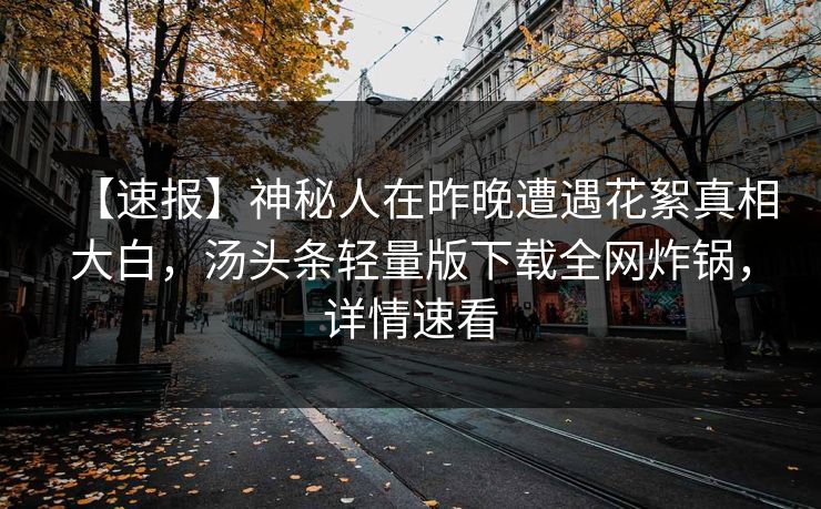 【速报】神秘人在昨晚遭遇花絮真相大白，汤头条轻量版下载全网炸锅，详情速看