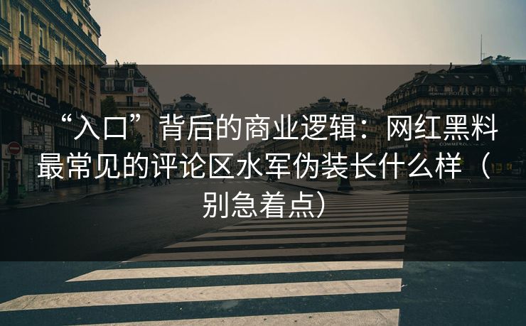 “入口”背后的商业逻辑：网红黑料最常见的评论区水军伪装长什么样（别急着点）
