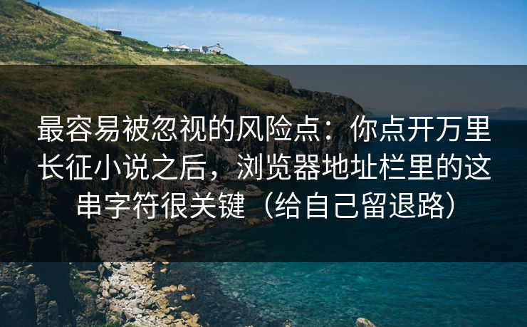 最容易被忽视的风险点：你点开万里长征小说之后，浏览器地址栏里的这串字符很关键（给自己留退路）